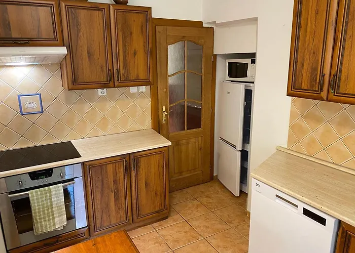U Potoka Apartment Bujanov